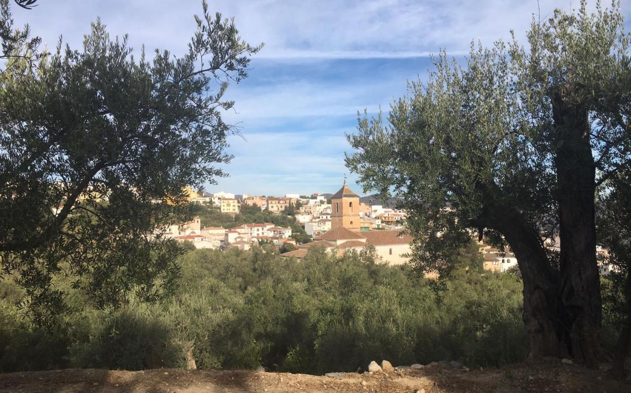 Jardin Andaluz Appart Alhambra Pinos del Valle Esterno foto